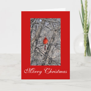 Cartes de Noël du cardinal Janz