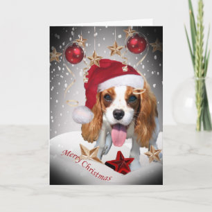Cartes de Noël du Roi Charles
