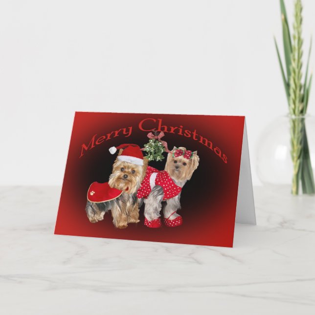 Cartes de Noël et Mistletoe Yorkie (Devant)