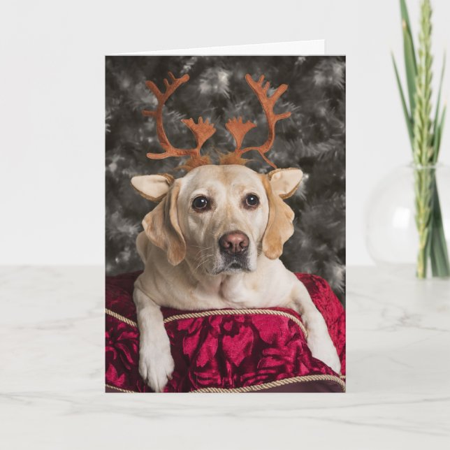 Cartes de Noël Funny Yellow Lab (Devant)