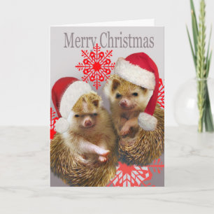 Cartes de Noël Joyeuses de Hérisson
