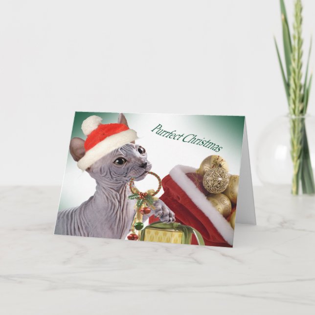 Cartes de Noël Sphynx sans cheveux (Devant)