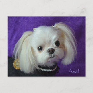 Cartes de note d'Ava