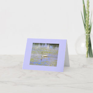 Cartes de note de cygne de trompettiste