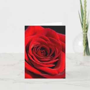 CARTES DE NOTE DE ROSE ROUGE