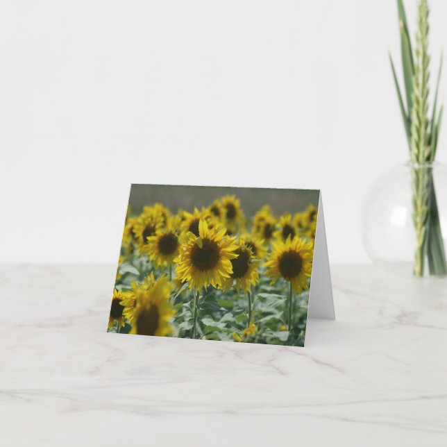 Cartes   de note de tournesol (Devant)