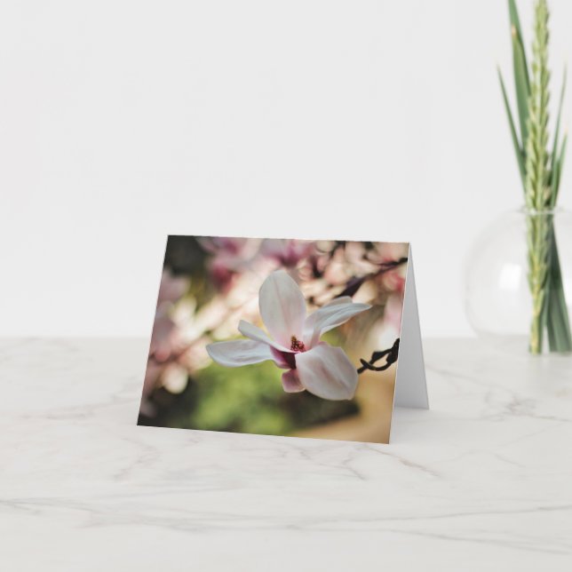 Cartes de note douces de magnolias (Devant)