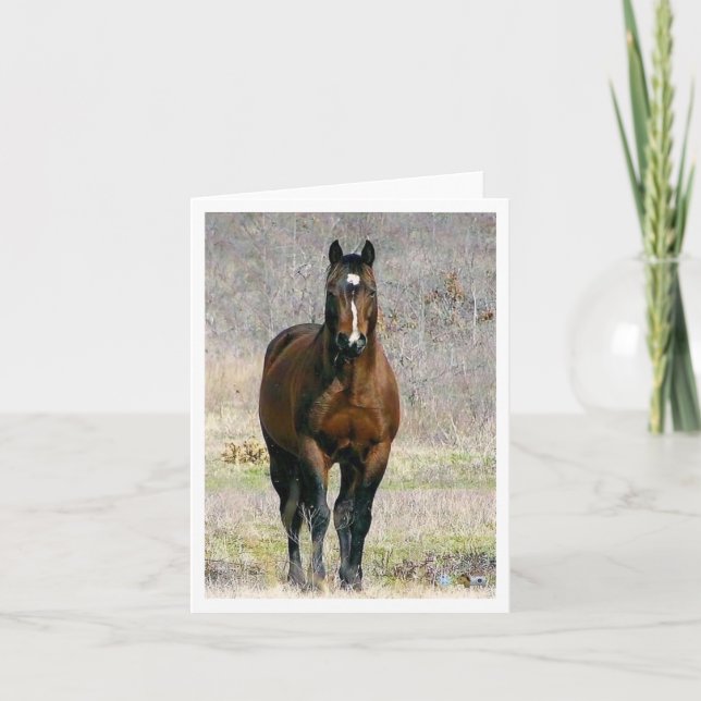 Cartes de note du cheval vides (Devant)