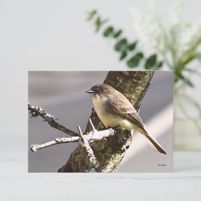 Cartes de note nature Cartes d'oiseaux (Debout devant)