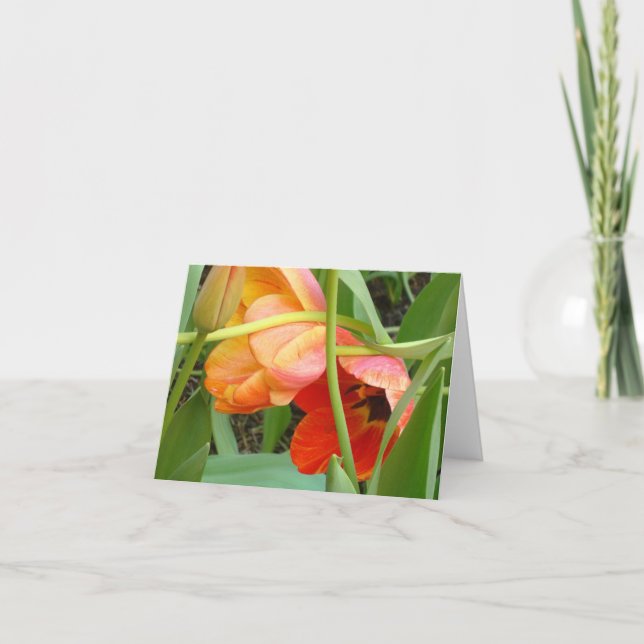 Cartes de note oranges de sculpture en tulipe (Devant)
