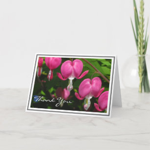 Cartes de note roses de blanc de photographie de
