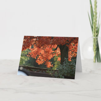 CARTES DE NOTE SAISONNIÈRES D'ARBRES DE CHUTE