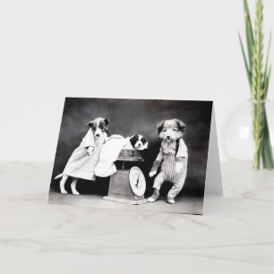 Cartes de note vintages de chiots et de chatons