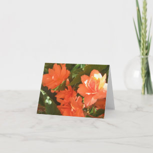 Cartes de notes Begonias