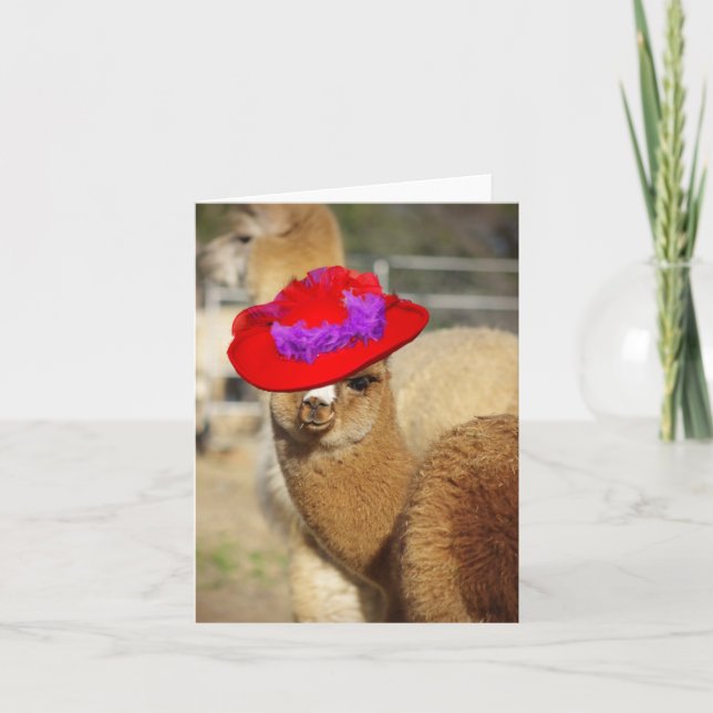 Cartes de notes Cute Alpaca (Devant)
