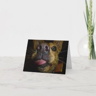 Cartes de notes Doggie Kisses