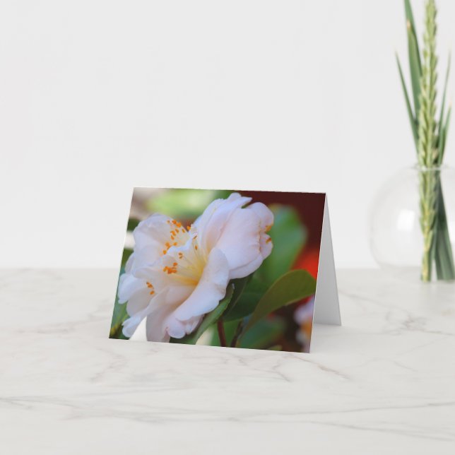 Cartes de notes en fleurs printanières (Devant)