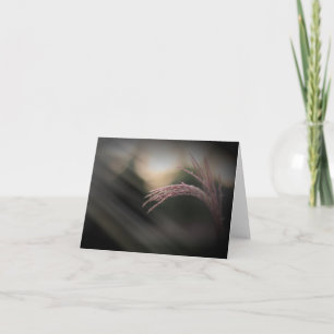 Cartes de notes en laiton ornementales