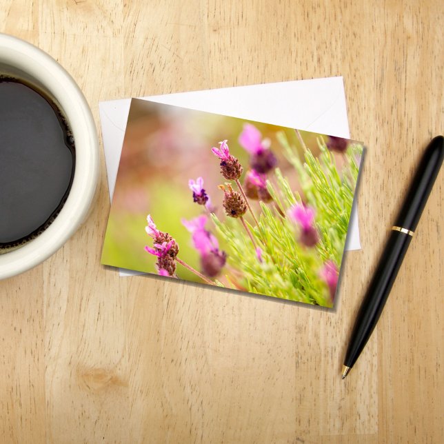 Cartes de notes Fleurs de Lavande (Créateur téléchargé)