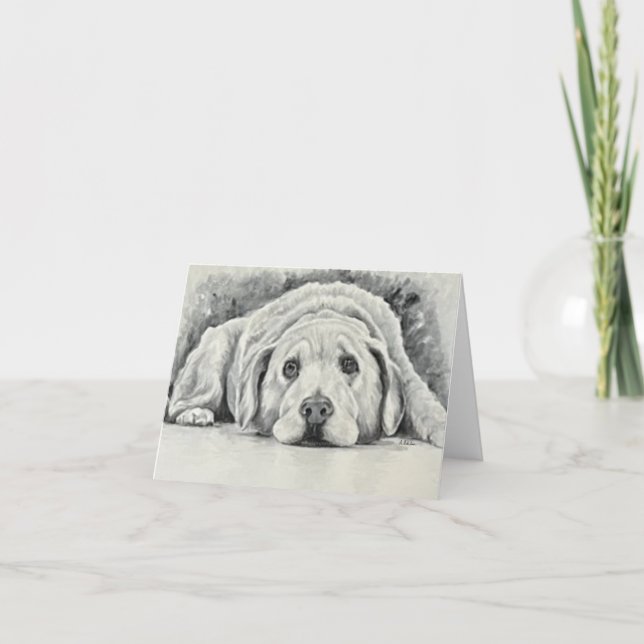 Cartes de notes Golden Retriever (Devant)