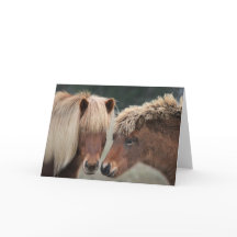 Cartes de notes islandaises pour chevaux