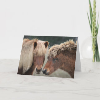 Cartes de notes islandaises pour chevaux