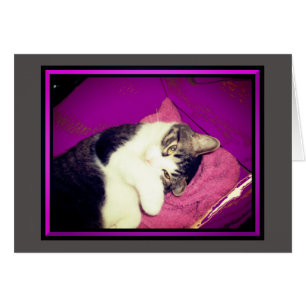 Cartes de notes Lucy Kitty