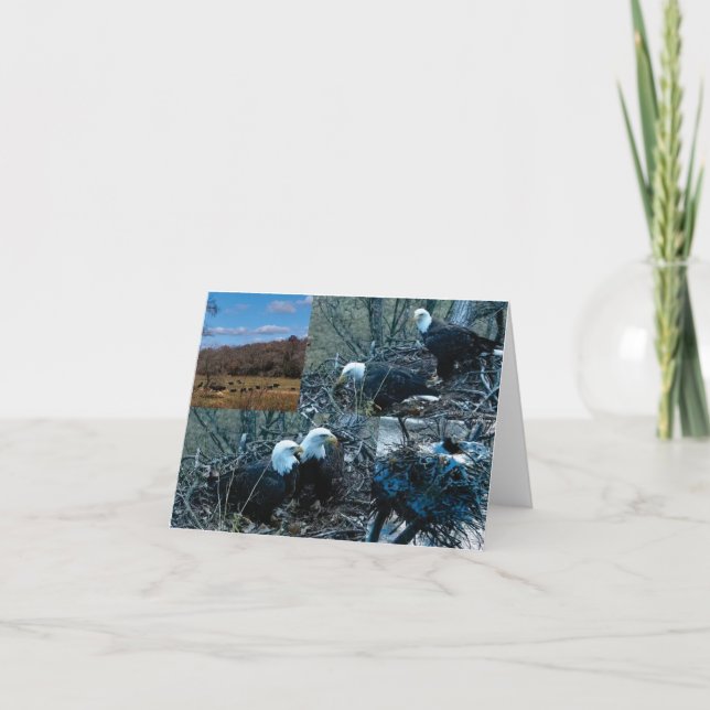 Cartes de notes nord du nid de décorations (Devant)