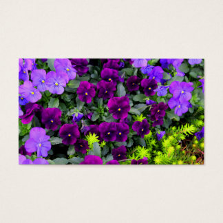 Cartes de notes Pensées Violettes