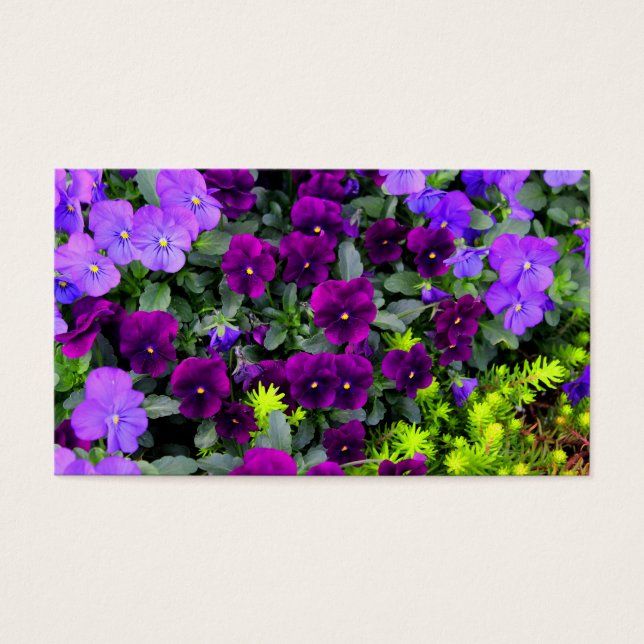 Cartes de notes Pensées Violettes (Devant)