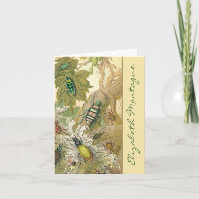 Cartes de notes personnalisées pour les coléoptère (Devant)
