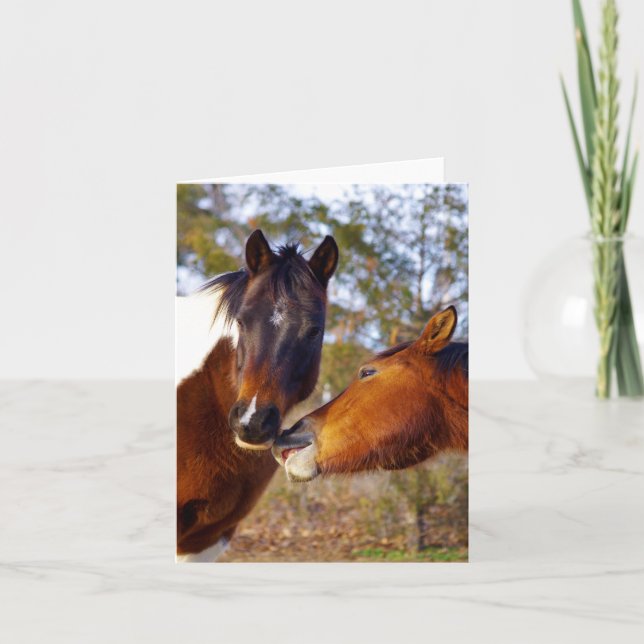Cartes de notes pour chevaux (Devant)