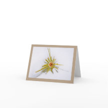 Cartes de notes pour la Sierra orientale