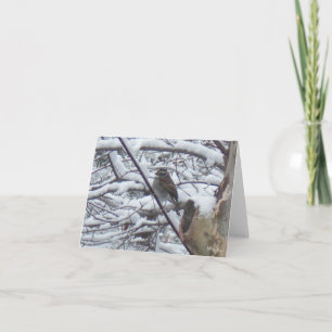 Cartes de notes pour les oiseaux neigeux