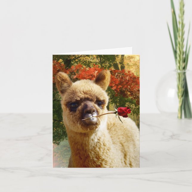 Cartes de notes Rose Alpaca (Devant)