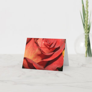 Cartes de notes roses élégantes