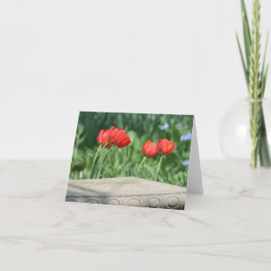 Cartes de notes rouges Tulip