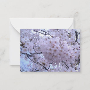 Cartes de notes Sakura Cherry Blossom