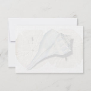 Cartes de notes vierges Coquille de Buccin