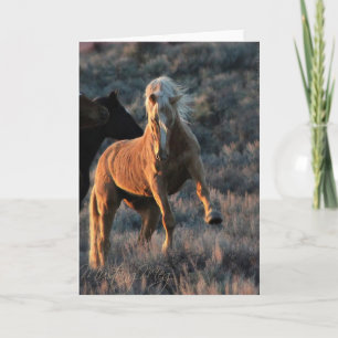 Cartes de notes Wild Palomino Stallion