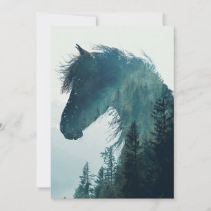 Cartes de photographie de cheval et paysage