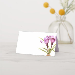 Cartes de place de l'artiste invité en couleur de
