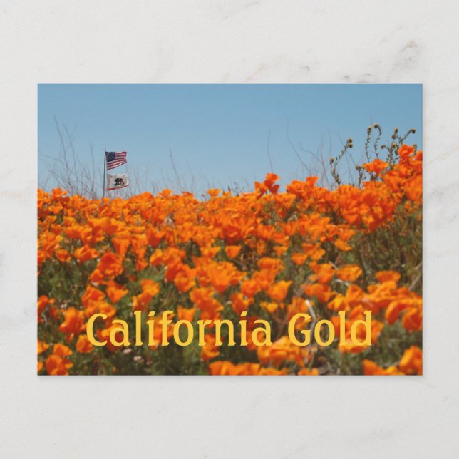 Cartes De Poche De Californie Et Drapeau Américain (Devant)