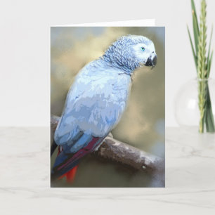 Cartes de Portrait de perroquet gris d'Afrique