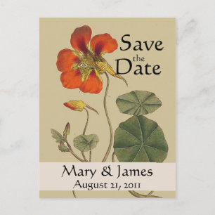 Cartes de pré-réservation Fleurs Botaniques Vintag
