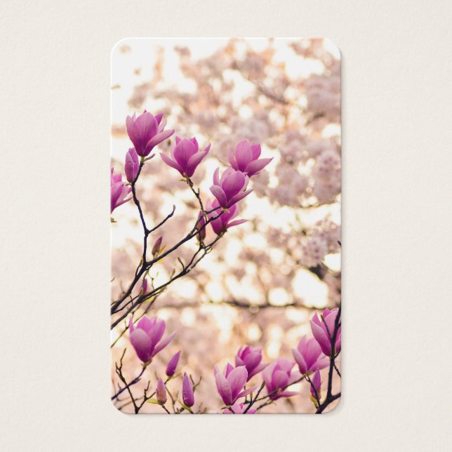 Cartes de prière | Magnifique Magnolia (Devant)