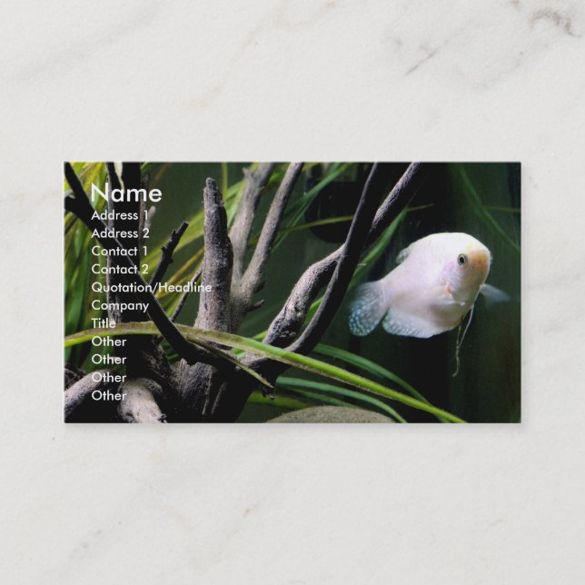 Cartes de profil d'aquarium (Devant)