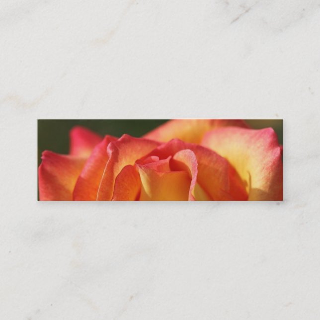 CARTES DE PROFIL ROSE PEACH (Devant)
