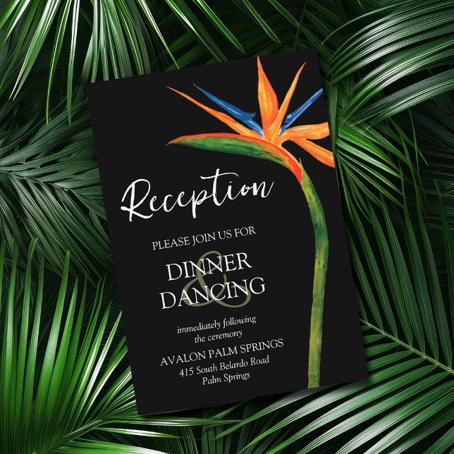 Cartes de réception de mariage pour oiseaux tropic (Créateur téléchargé)