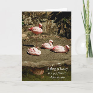 CARTES DE REMARQUE FLAMANT ROSE ROSE